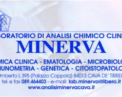 Analisi Minerva