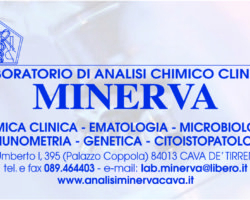 Analisi Minerva