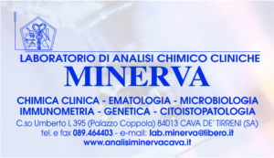 Analisi Minerva